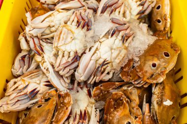 Taze çiğ kahverengi deniz-yengeçler sreet piyasada İsrail