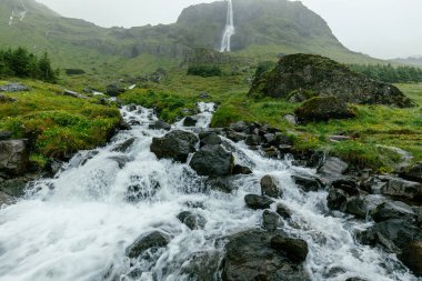 İzlanda'daki muhteşem Bjarnarfoss şelale akışı görüntülemek