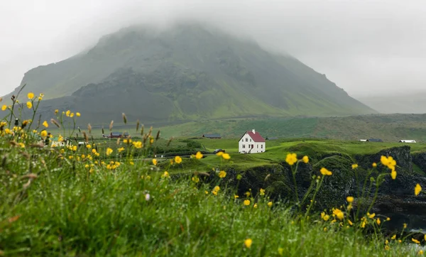 Tradycyjny Islandzki Drewniany Dom Farmie Stojący Samotnie Klifie — Zdjęcie stockowe