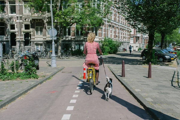 Dutch Woman Walking Her Dog While Riding Bicycle Amsterdam Netherlands — Stock Photo, Image