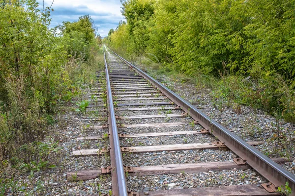 Old Abandoned Railroad Bush — Stock Photo, Image