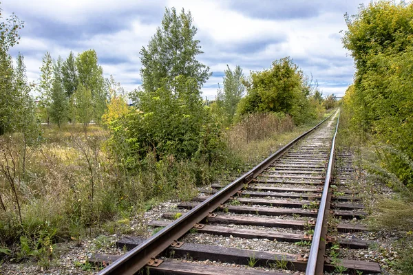 Régi Elhagyott Vasút Bush — Stock Fotó