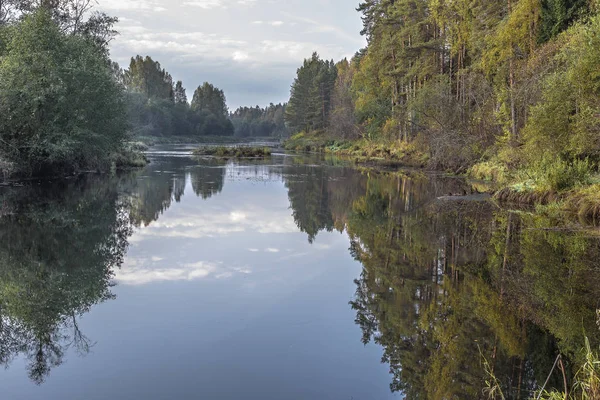 Tsna Rivier Stroomt Langzaam Door Het Bos Tver Regio Rusland — Stockfoto