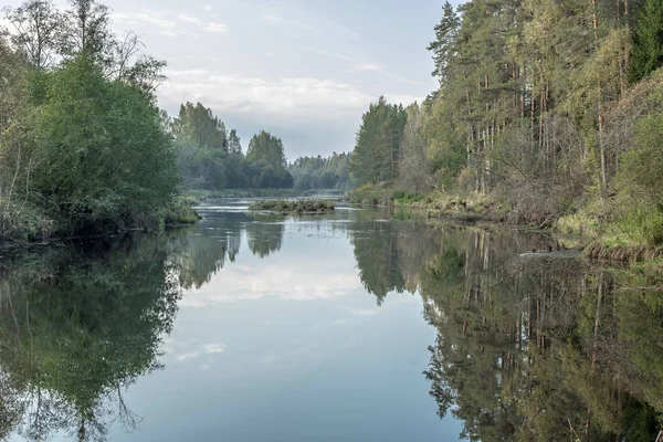 Rio Tsna Flui Lentamente Através Floresta Região Tver Rússia — Fotografia de Stock