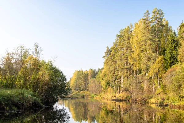 Rio Tsna Flui Através Floresta Virada Ilha Região Tver Rússia — Fotografia de Stock