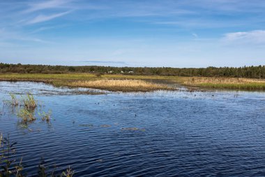 Tsna nehri ağzında küçük bir köy, Tver bölgesi Rusya