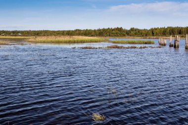 Tsna nehri ağzında küçük bir köy, Tver bölgesi Rusya