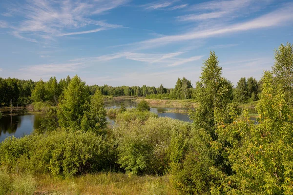 Malebné Jezero Slunečného Letního Dne Břehy Jsou Pokryty Lesem Keři — Stock fotografie