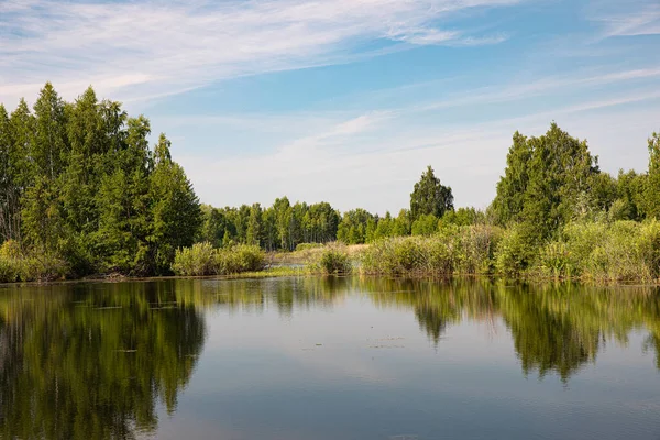 Malebné Jezero Slunečného Letního Dne Břehy Jsou Pokryty Lesem Keři — Stock fotografie