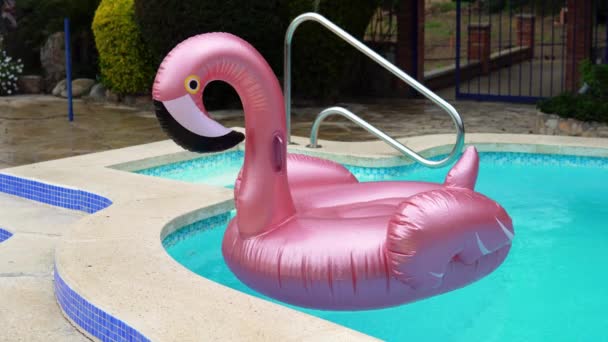 Pembe flamingo kauçuk halka yağmur damlaları ile kaplı yüzme havuzunda yüzer — Stok video