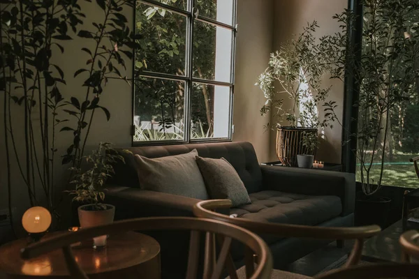 Yastıklı, çiçekli ve pencereli kanepe.