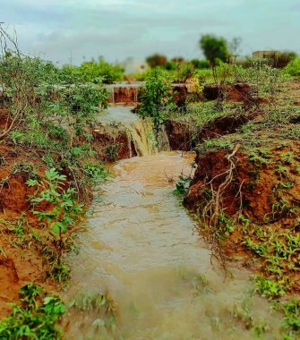 Yağmurlu bir günde ve nehirde yağmurlu su karıştırma önce, çok güzel bir sahne olun. Yağmurlu pınarlar çok güzeldir. Bununla birlikte yeşil bitkiler de vardır. Fotoğraf Rajasthan Hindistan'dan.