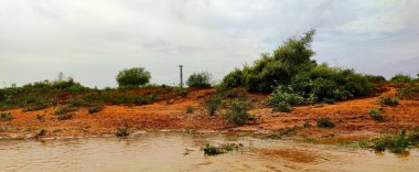Bu güzel sahneler nehrin kıyısında. Çöl ağaçları ile birlikte akasya ve çöl çalılar vardır. Çöl bitki örtüsü nehirlerde nadiren görülür. Rajasthan Hindistan'dan sahneler alındı.