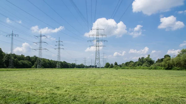 Yeni biçilmiş sel yataklarında elektrik direkleri.
