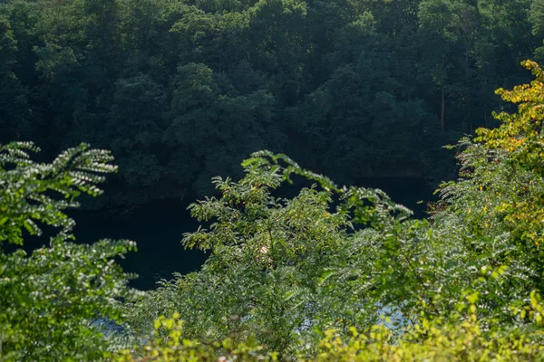 Sıcak bir yaz gününde Dornheckensee Gölü'nün manzarası.