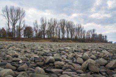 Çıplak ağaçların önündeki nehir yatağındaki taşlar.