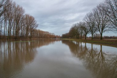Sabah güneşinde sular altında kalan nehir sel ovası.
