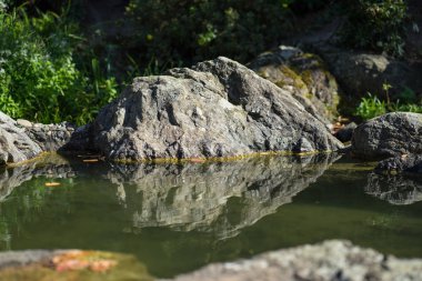 Deredeki kayalar suya yansıdı.