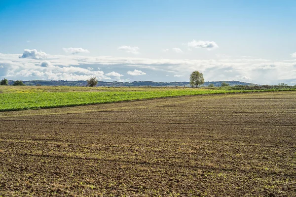 View over the wide area of a harvested field. — Stock Photo, Image