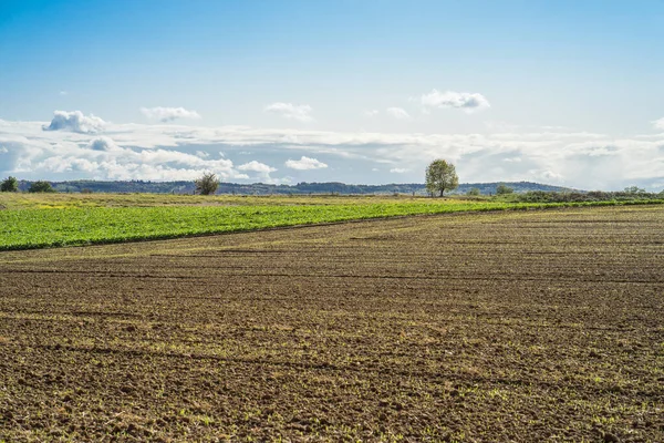 Vista sobre a ampla área de um campo colhido . — Fotografia de Stock