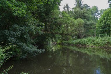 Wied nehri sık bir ormanın içinden sakin bir şekilde akar..
