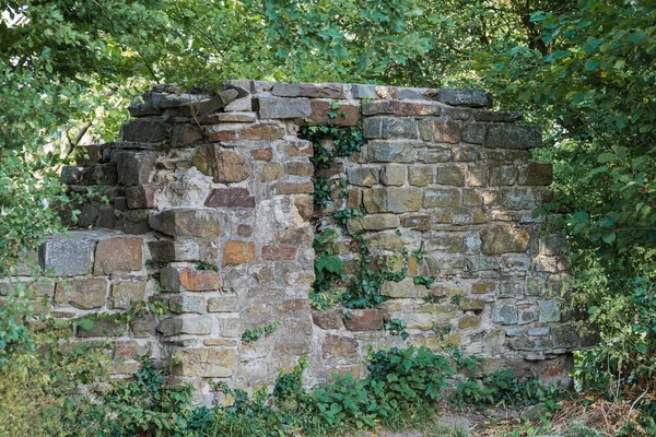 Restos de un castillo en ruinas cubierto de arbustos y árboles . — Foto de Stock