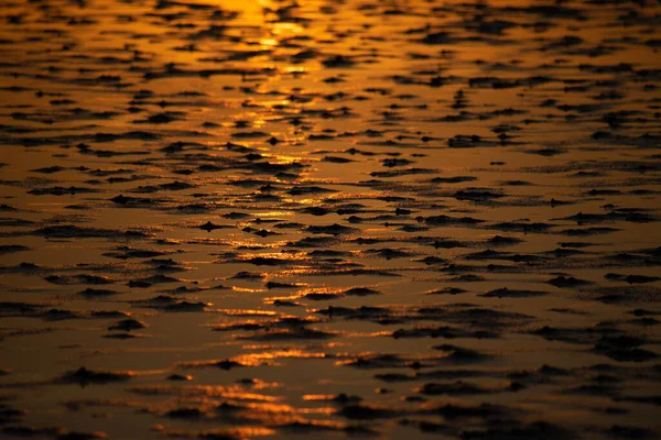 夕阳西下低潮时挡泥板的近照. — 图库照片