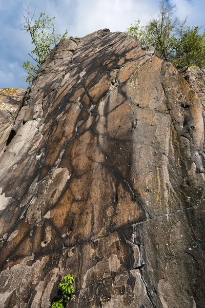 Vista cercana de una pared de roca con un patrón interesante — Foto de Stock