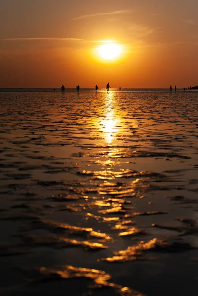 Les gens marchent sur la grande plage de vase au coucher du soleil au large de Buesum. — Photo