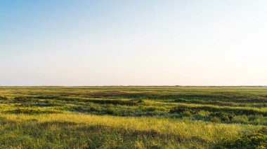 Akşam güneşinin ışığında Kuzey Denizi kıyısındaki hendek ve sahil arasındaki otlaklar.
