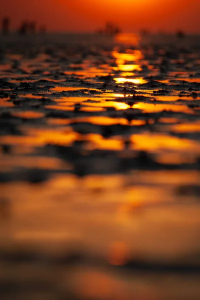 Pozzanghere nel fango con persone che scompaiono fuori fuoco al tramonto. — Foto Stock