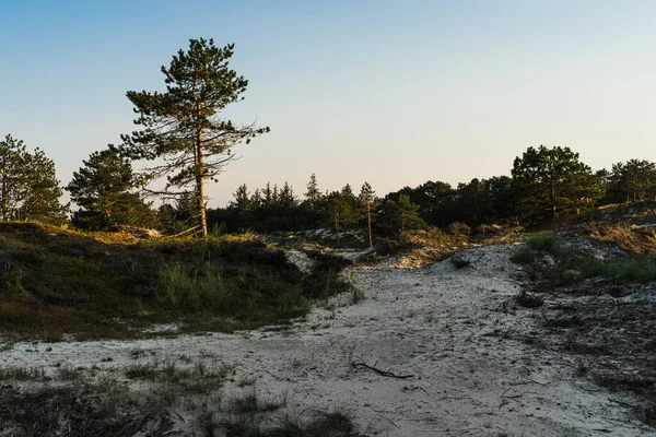 Alacakaranlık, Kuzey Denizi kıyısındaki kum tepeciklerinin üzerine düşüyor..