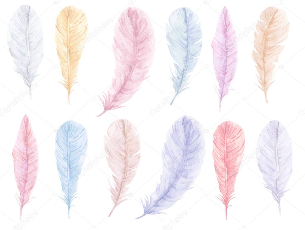Hand drawn watercolor vibrant feathers set. Boho style wings feathers, illustration isolated on white background
