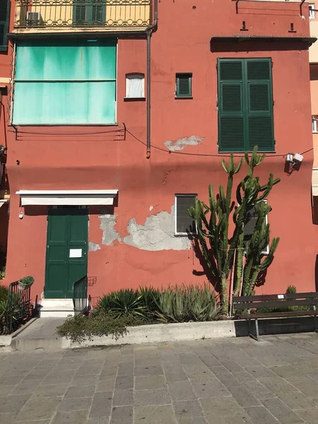 A brown house with a green door, shutters, and a cactus in the front garden