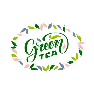 Paket, afiş, el ilanı, poster, bistro, kafe, dükkan tabelası, reklam tasarımı için yeşil çay fırçası harflerinin vektör çizimi. Şablon, imza, ilan tahtası, yazdırma için el yazısıyla yazılmış metin 