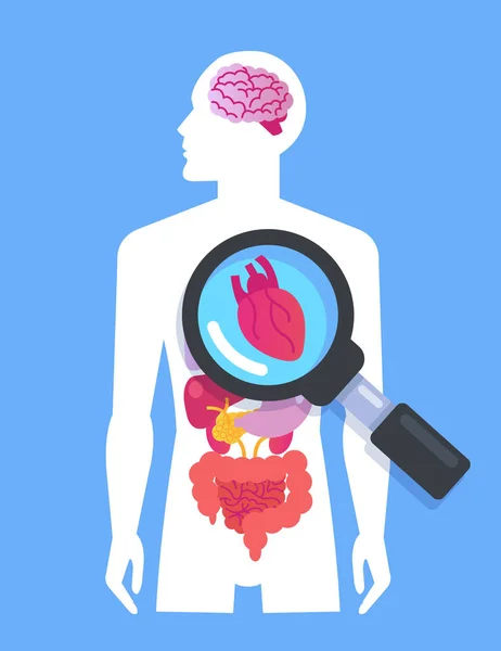 人間の体男バナーを内臓 医学研究のコンセプトです ベクトル フラット漫画グラフィック デザイン分離孤立した図 — ストックベクタ