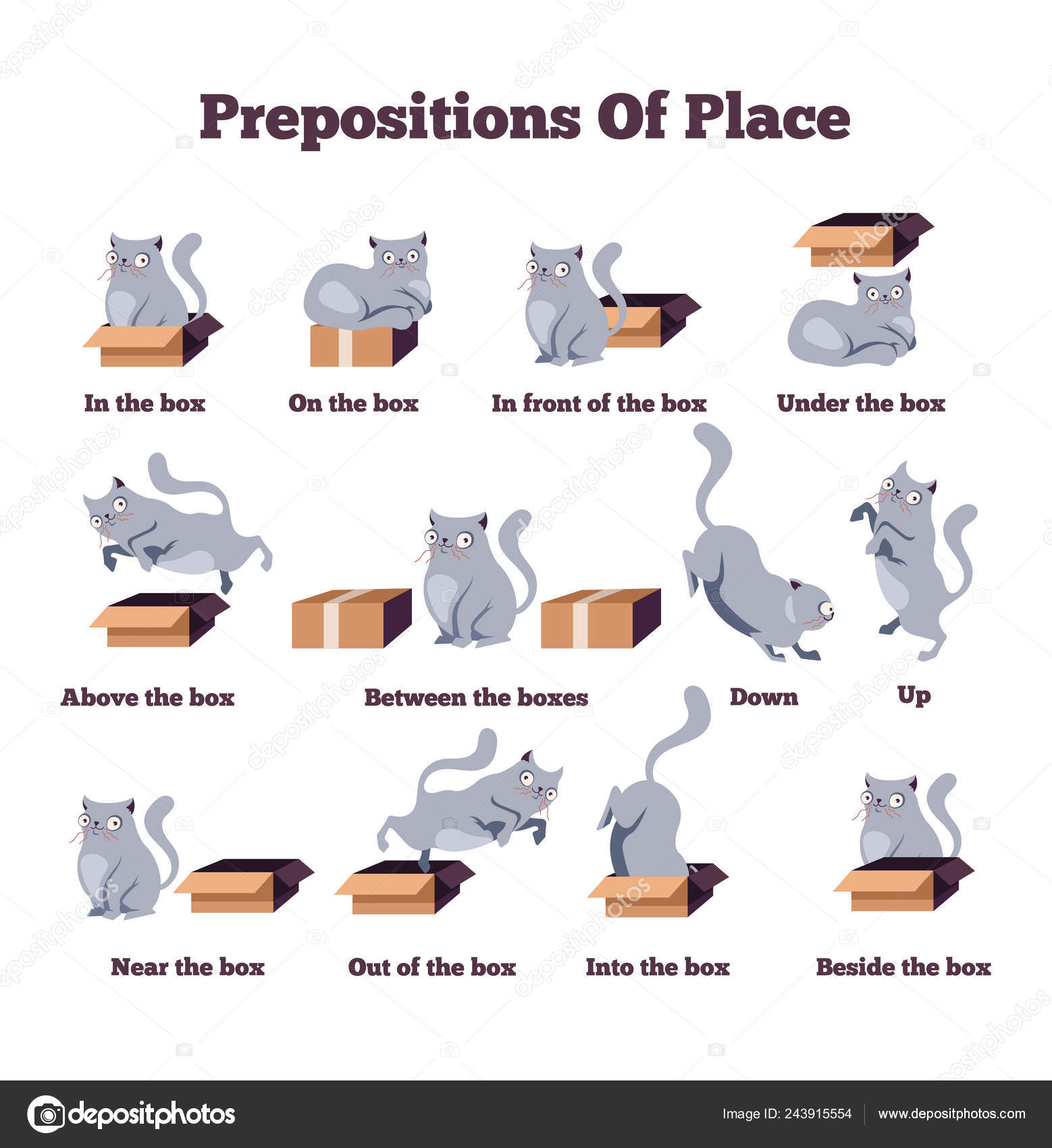 Cute Cats Pets or Kittens Playing or Posing Vector Flat Icons