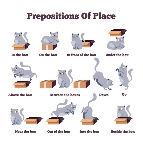 可爱的猫字符在不同的姿势与框 地方英语的前置词 外语概念研究 向量平的动画片字符被隔绝的例证 — 图库矢量图片