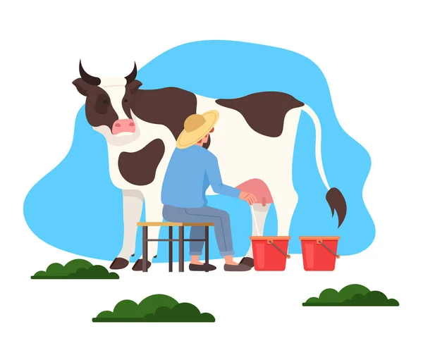 Man Farmer Milk Cow Vector Flat Graphic Design Illustration — Stock Vector