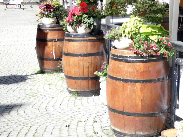 Three wooden barrels with flowers