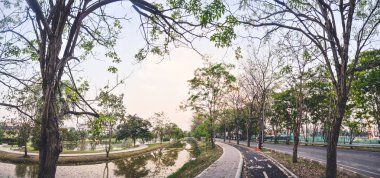 Peyzaj doğa ağaçları kamu parkı, Seyahat tayland