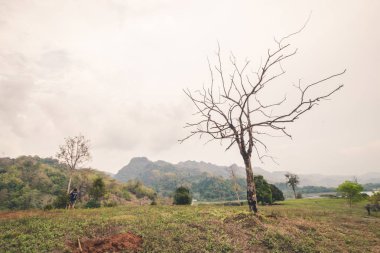 Peyzaj doğa ağaçları ve dağ, Seyahat tayland