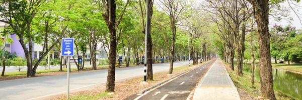 風景自然樹公共公園 トラベルタイ — ストック写真