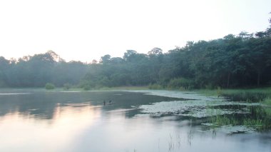 Tayland 'da nehirler. Tayland' da seyahat.