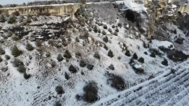 Kırım'daki dağların, ormanların ve tarlaların havadan görünümü. Doğal alanlar üzerinde bir drone çekim