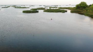 Finlandiya Körfezi 4k üzerinde hava video. St. Petersburg, Rusya bölgesinde su Körfezi üzerinde bir insansız hava aracının vurulması