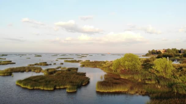 Video Aereo Sul Golfo Finlandia Sparatoria Drone Sulla Baia Acqua — Video Stock
