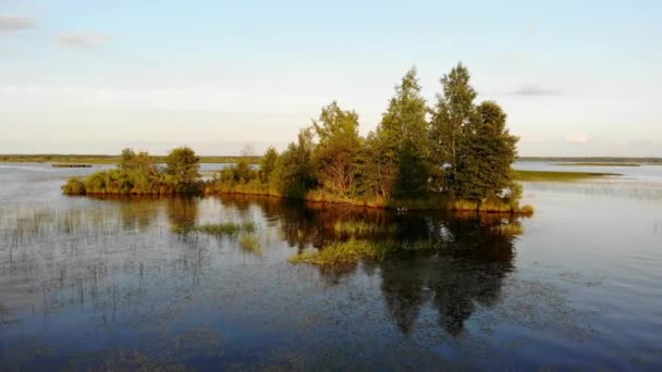 Aerial video over lake and island in Leningrad region 4K — Stock Video