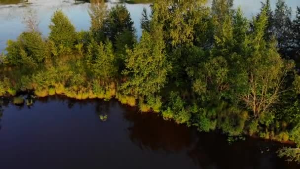 Видео с воздуха над озером и островом в Ленинградской области 4K — стоковое видео