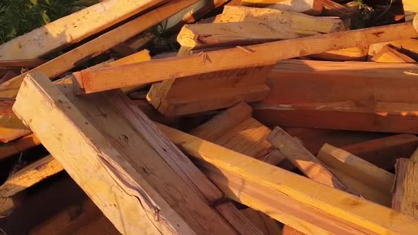 Wood firewood and debris in the middle plan — Stock Video